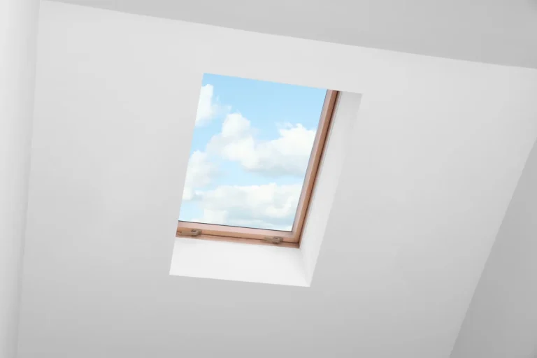 skylight2